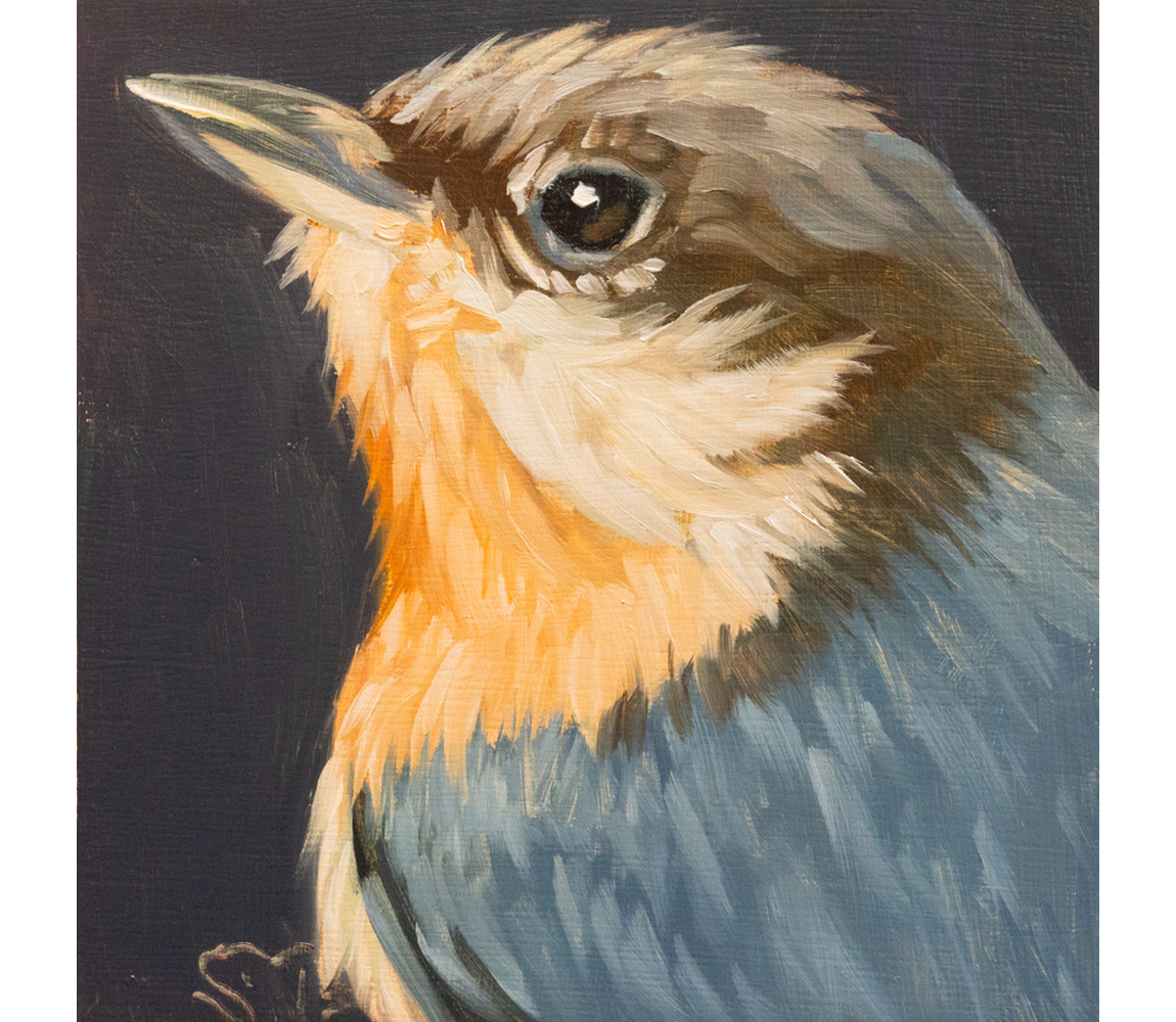 Sheila Evans "Pygmy Nuthatch"